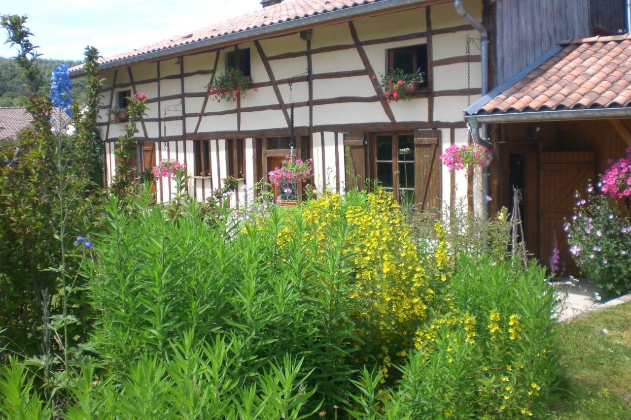 La Maison Du Bucheron Futeau Exterior foto